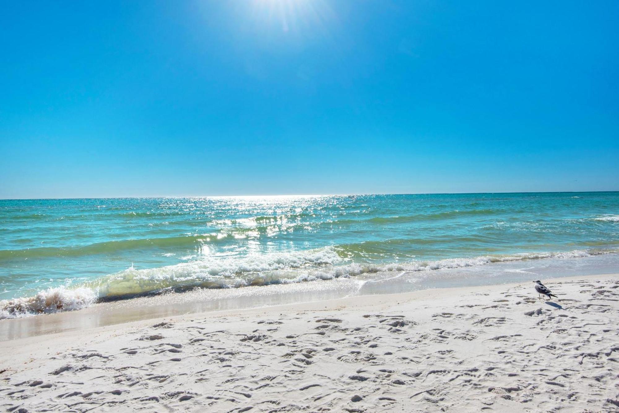 Shores Of Panama 1802 Panama City Beach Exteriör bild